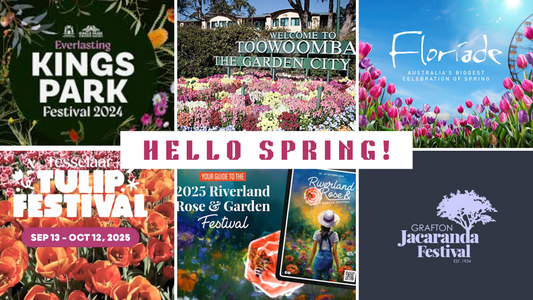 Ta-da Chair, floriade, flowers, carnvial, festival, seniors month, walking stick, mobility, aids, instant seat, cane